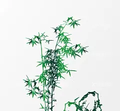 竹子  - 源文件下载【酷图网】竹子矢量,手绘,竹子,竹叶,翠竹,绿竹,竹枝,竹报平安,中国风,竹,竹子绘画,竹子矢量图,竹子墙贴,挂画插画,竹子手绘,竹林,竹笋,卡通竹笋,插画,植物,意境竹枝,竹影清风,竹子背景,手绘竹,绿色竹子,春天,插画竹子,手绘绿植,绿色植物,富贵竹,竹子素材,