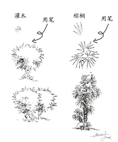 HIGGD采集到钢笔淡彩（线稿临摹）