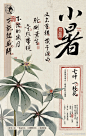 茶颜悦色超话 小暑，已经到了夏季倒数第二个节气，但气温还不到最热的时候☀️7月的云游也把目光转向更凉快的山林里⛰️
 
看到了花叶同形的七叶一枝花，又名七叶莲，亦即重楼；它是清热解毒的好药，也是云南白药的成分
 
这里来波回忆杀⏳仙剑3里角色的名字都是药材名，你脑海中有勾勒起大反派重楼么？[思考]
 
#云游草木志#