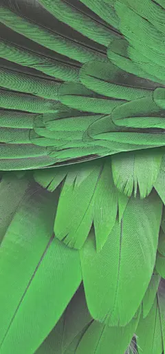 Google Pixel 7 系列内置高清壁纸 讲真，手机做得不咋地，壁纸倒是挺有艺术感的