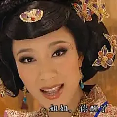 宫心计姐妹互撕表情包，适合跟姐妹聊天用_妹妹 : 为我们虚伪的姐妹情谊干杯 因为你是我的好姐妹 你居然害自己姐妹 你这种人配做我姐妹吗 既然姐姐可以，妹妹也一样可以 是妹妹不对，是妹妹错【搞笑表情包…