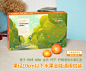 水果橙子通用包装盒脐橙柑橘胡柚手提15枚纸箱子高档礼品盒批发-淘宝网