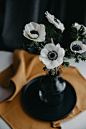 Flowers Contained | 100+ best free flower, pink, vase, and white photos on Unsplash