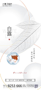 地产白露节气海报