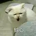 采集图片