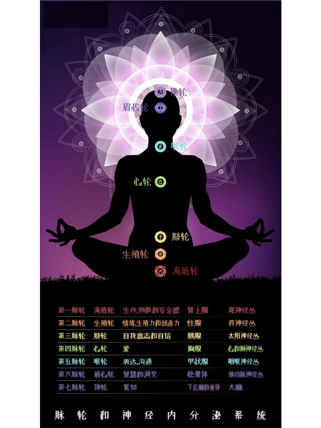 人人都有的能量中枢：七脉轮