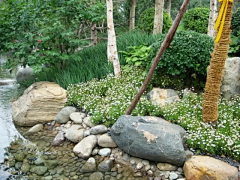 SunflowerO(∩_∩)O哈哈~采集到驳岸