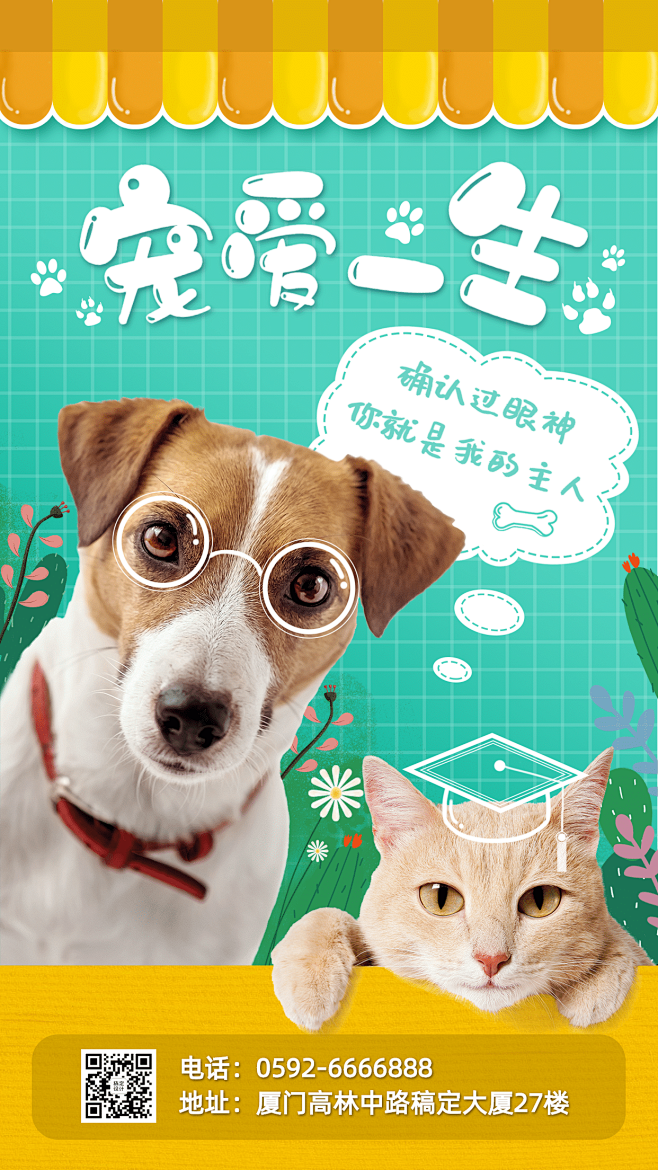 宠物服务品牌宣传实景竖版海报