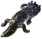 1292577546288_ff14-salamander
