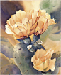 @ Jeanne Bonine --watercolor paintings