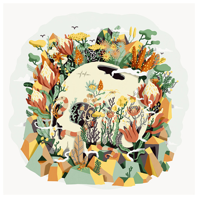 Skull & Fynbos on Be...