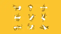 好好广告是一家集品牌建设、广告创意、电商服务为一体的综合创意机构，为客户提供全方位品牌设计服务和整体视觉解决方案：包括品牌VI设计、创意海报设计、产品包装设计、新媒体传播、电商视觉形象等综合线上&amp;线下一站式品牌设计服务。了解更多，关注微信公众号“好好设计”：Haohao-design 。