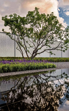 Anez采集到植物素材