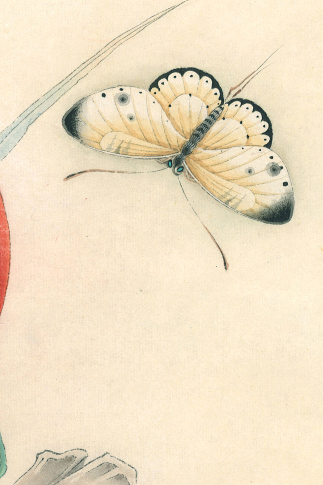 欣赏李晓明工笔荷花作品重绘十里莲塘