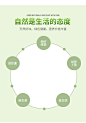 33-绿色时尚清新水果黄瓜蔬菜详情页 (7)