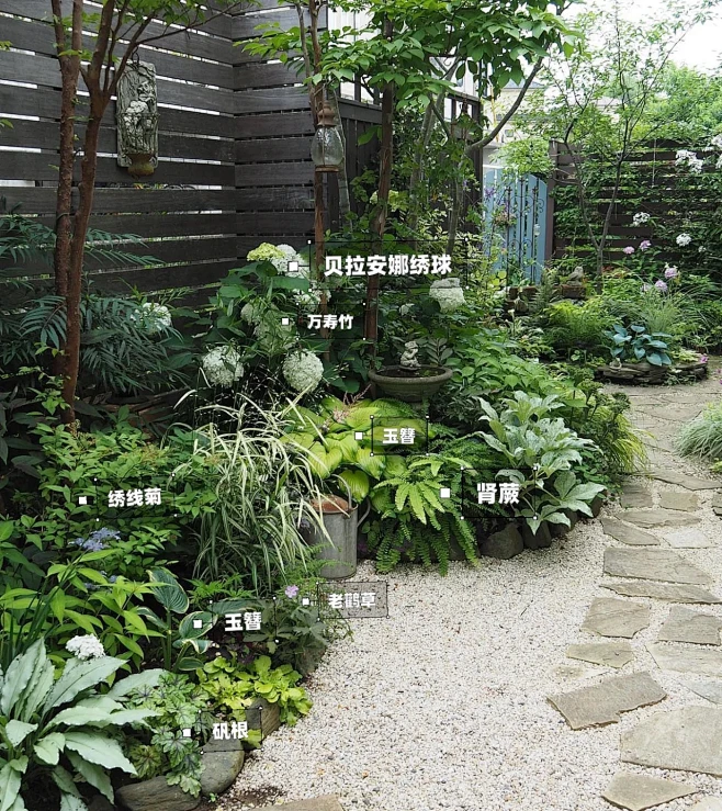 植物配置实景 (103)图片_植物配置图片素材-花瓣网