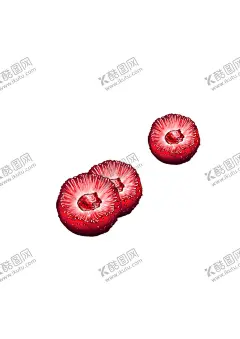 手绘杨梅 【酷图网】杨梅,多个,热带水果,红彤彤,半颗