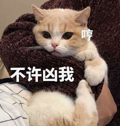 大猪蹄吖采集到动物