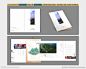 风情商业古镇房地产VI画册折页