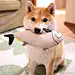 哀哀哀木涕
