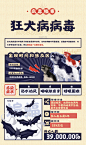 病毒档案信息图源06