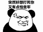 设计师表情包_百度图片搜索