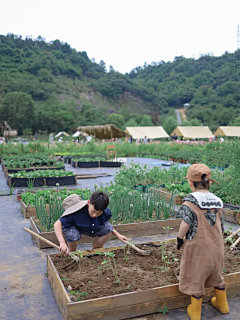 设计无界采集到农庄景观