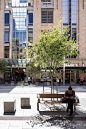 Sydney's George Street reopens for Christmas - :     Sydneysiders have had an early Christmas present this year – their first taste of what the all-new George Street will look like when the CBD and South East Light Rail is complete. Two city blocks along 