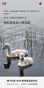 锤子科技 2018 春季新品发布会预热海报，开怼了！