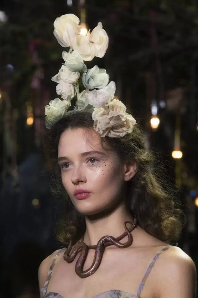 Christian Dior Spring 2017 Couture -花瓣网