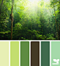 forest greens
