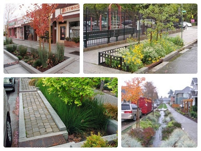 street rain gardens