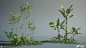 Forza Horizon 5 - Foliage Assets , Borys Udodenko : Really proud to share some of asset work that the foliage team did for Forza Horizon 5. This was a big team effort, congratulations to Jake Woodruff, Reece Prades and Alex Patel for their incredible work