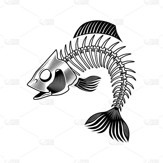 Bass bones vector il...