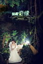 《仙履奇缘之雨林》——羽·映像出品_婚纱摄影