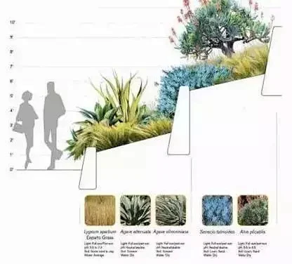 植物分析图还可以这样做？！-花瓣网