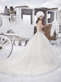 Sophia Tolli 2015 AW Bridal Collection——冰雪中的嫁衣