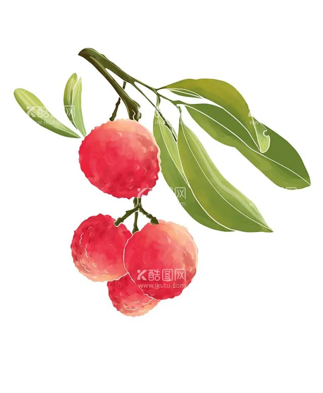 荔枝插画素材 - 源文件下载【酷图网】荔枝,荔枝插画,荔枝手绘,荔枝国画,荔枝素材,荔枝手绘素材,荔枝插画素材,手绘卡通荔枝,手绘荔枝插画 ...