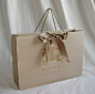 Google Image Result for http://www.first-class-luxury.com/images/luxury-handbags-19/BurberryGiftbag.jpg: 