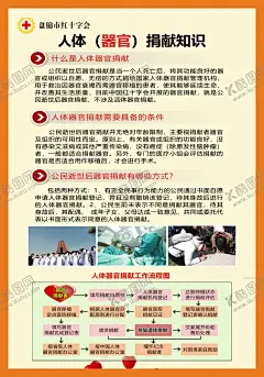 器官捐献 【酷图网】器官,捐献相关知识,器官捐献,生命永续,折页,公益广告,公益海报,让爱成长,公益,公益展板,公益活动,公益设计,公益晚会,公益小学,公益献血,公益背景,公益画册,公益标语,器官捐献广告,公益爱心,公益校园,社区公益,公益母爱,公益舞台,生命孤单,大爱无疆,公益行动,公益美德,公益奉献,公益儿童