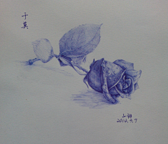 小莫小莫采集到紫阳 的画