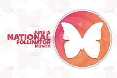 6月是全国传粉月。节日的概念。模板的背景，旗帜，卡片，海报与文字题词。向量EPS10插图。