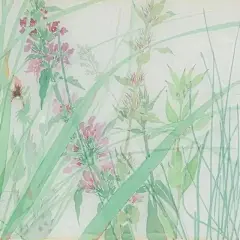 当代文人花鸟画名家李恩成_9_未来可期_来自小红书网页版