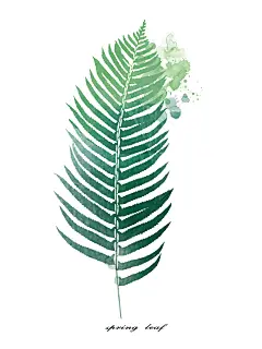 水彩风花盆陶艺植物花卉叶子绿植插画设计元素(20).jpg图片