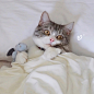 猫宁and哥哥(⁎⁍̴̛ᴗ⁍̴̛⁎)