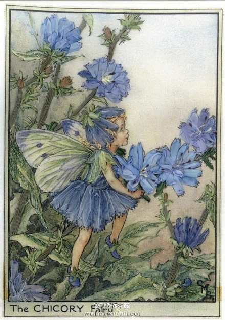 插画家Cicely Mary Barke...