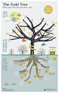 n	 The Gold Tree Infographic | Zumoit