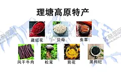高原特产名片 【酷图网】高原,雪山,特产,藏红花,贝母,虫草,冬虫夏草,松茸,菊花,黑枸杞,牛肉,名片