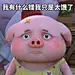 探探猫表情包：我有什么错？我只是太饿了……06