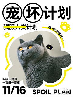 杰二傻采集到猫